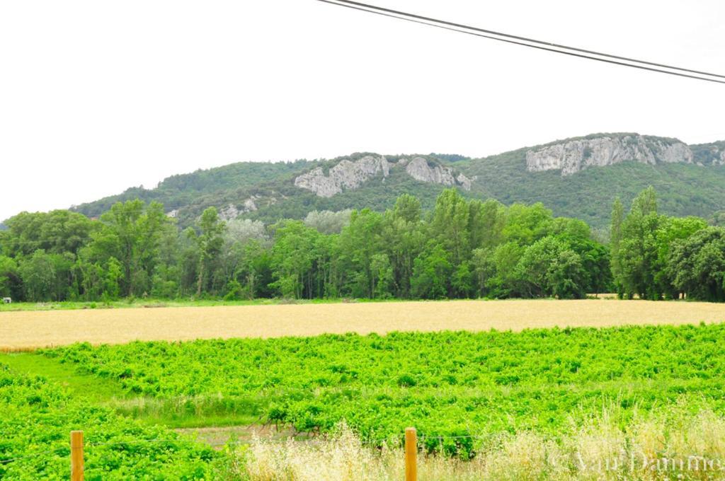 Gites Du Domaine Des Dames Vallon-Pont-dʼArc Dış mekan fotoğraf